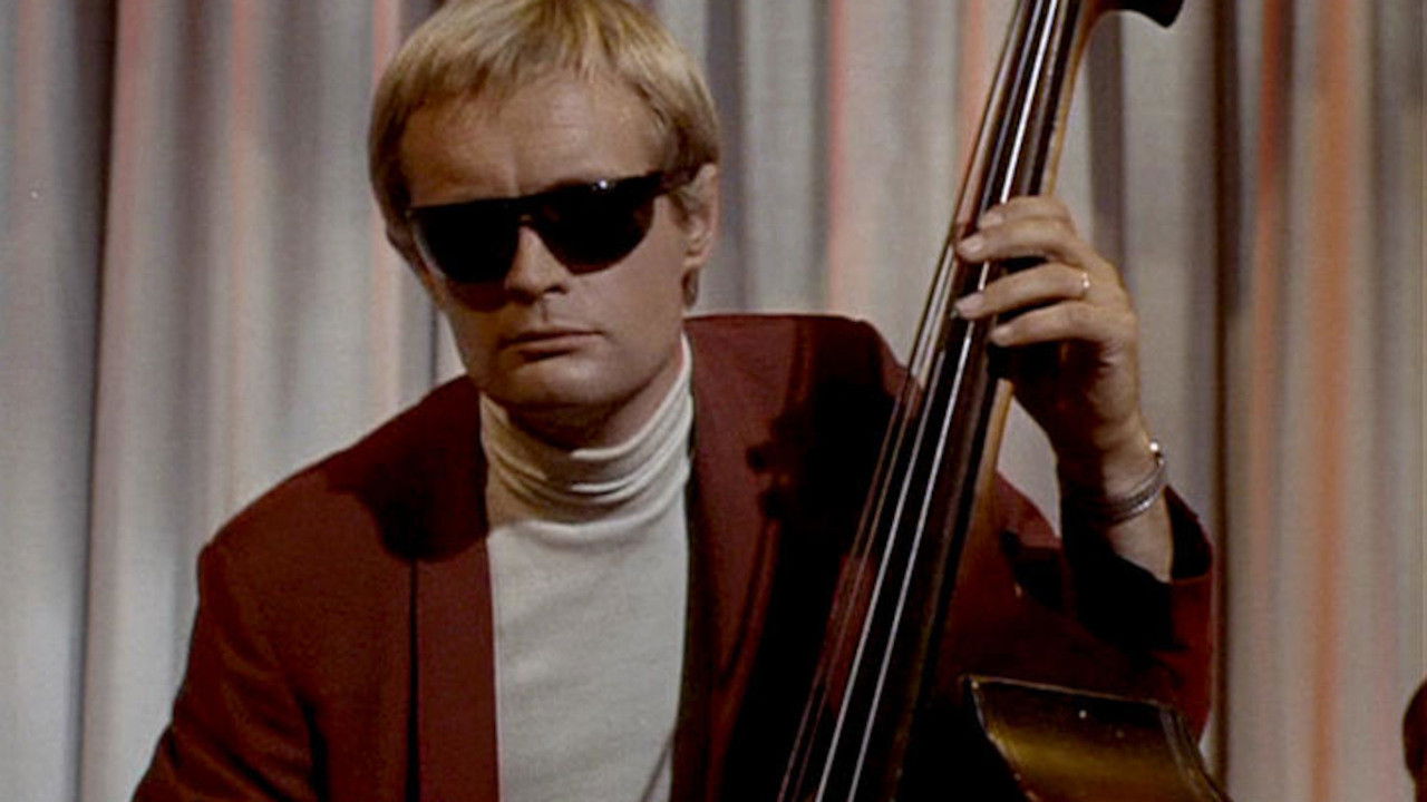 The Discotheque Affair