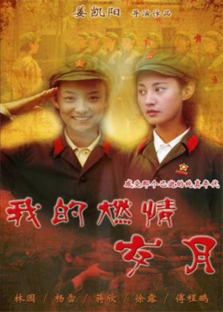 Poster de 我的燃情岁月
