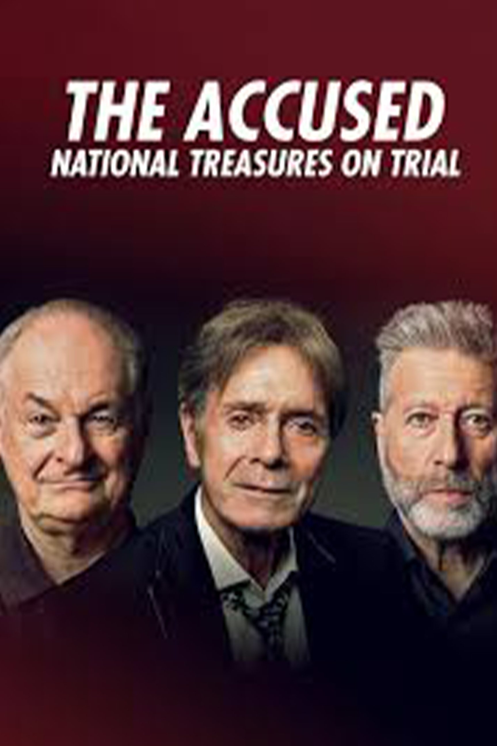 Poster de The Accused: National Treasures on Trial