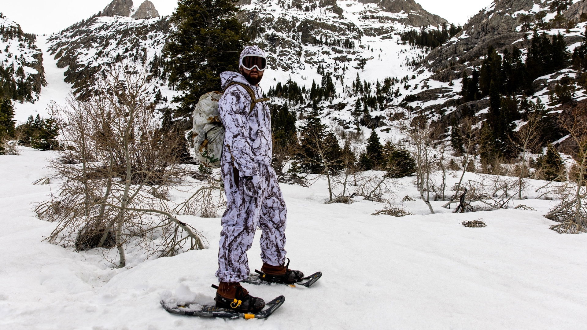 Ivory Billed Woodpecker of the Bayou