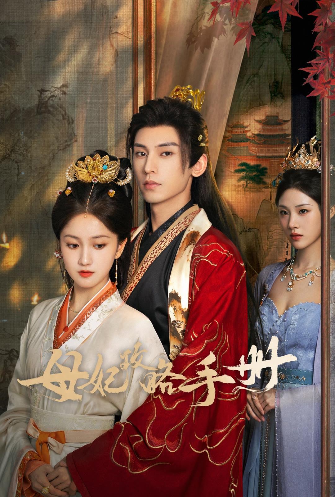 Poster de 母妃攻略手册