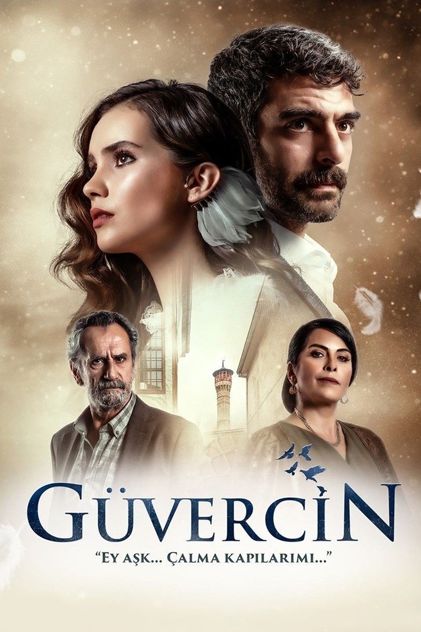Poster de Güvercin