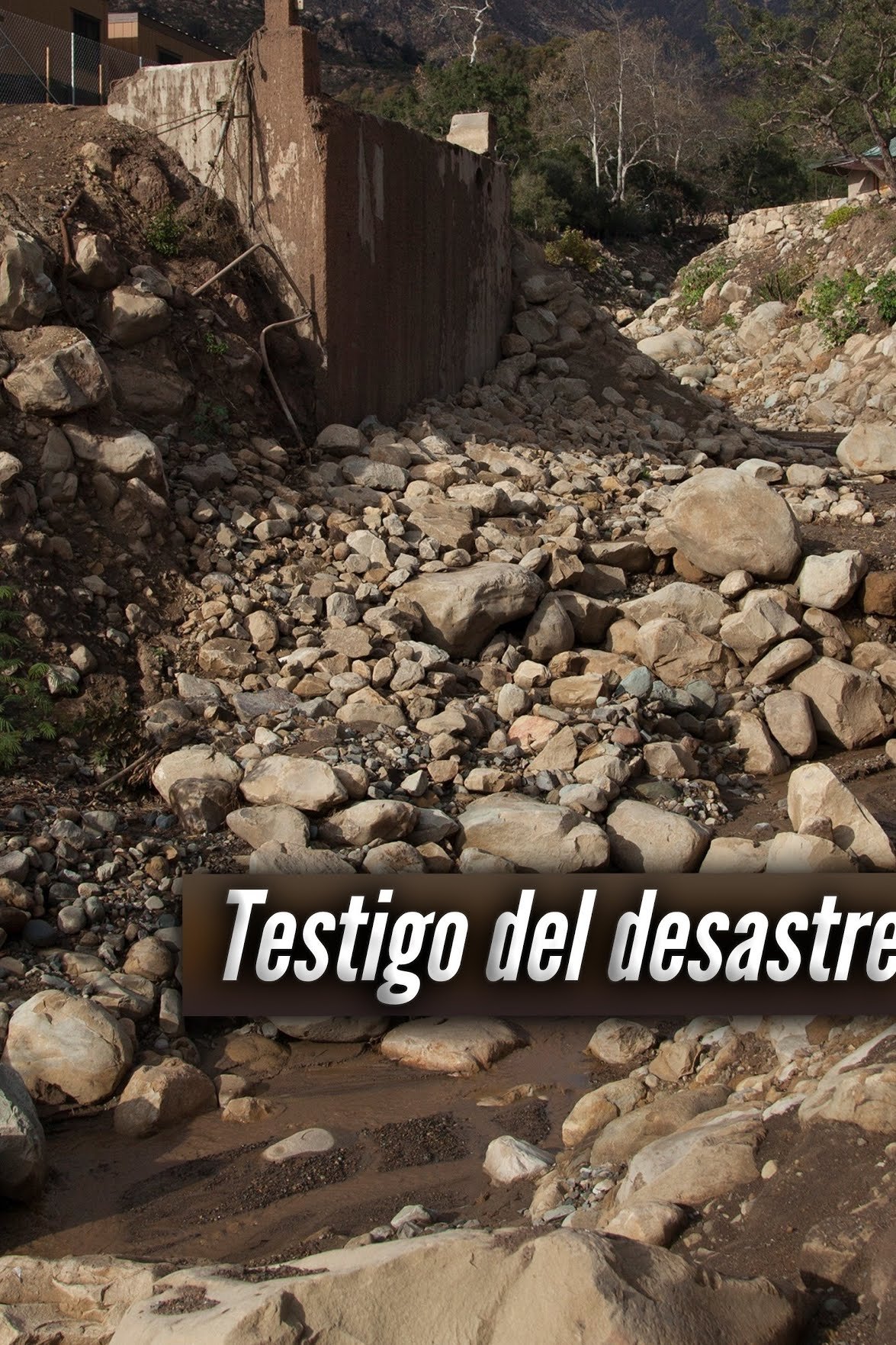 Poster de Testigos de la tragedia