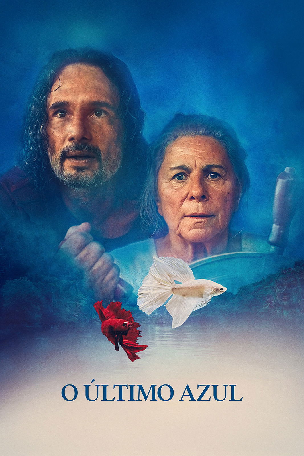 Les voyages de Tereza