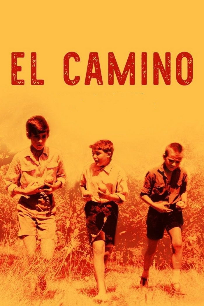 Poster de El camino