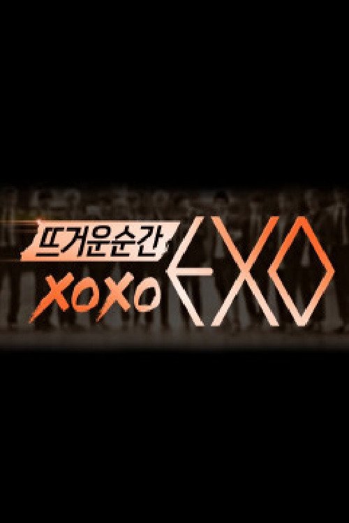 Poster de 뜨거운 순간 엑소