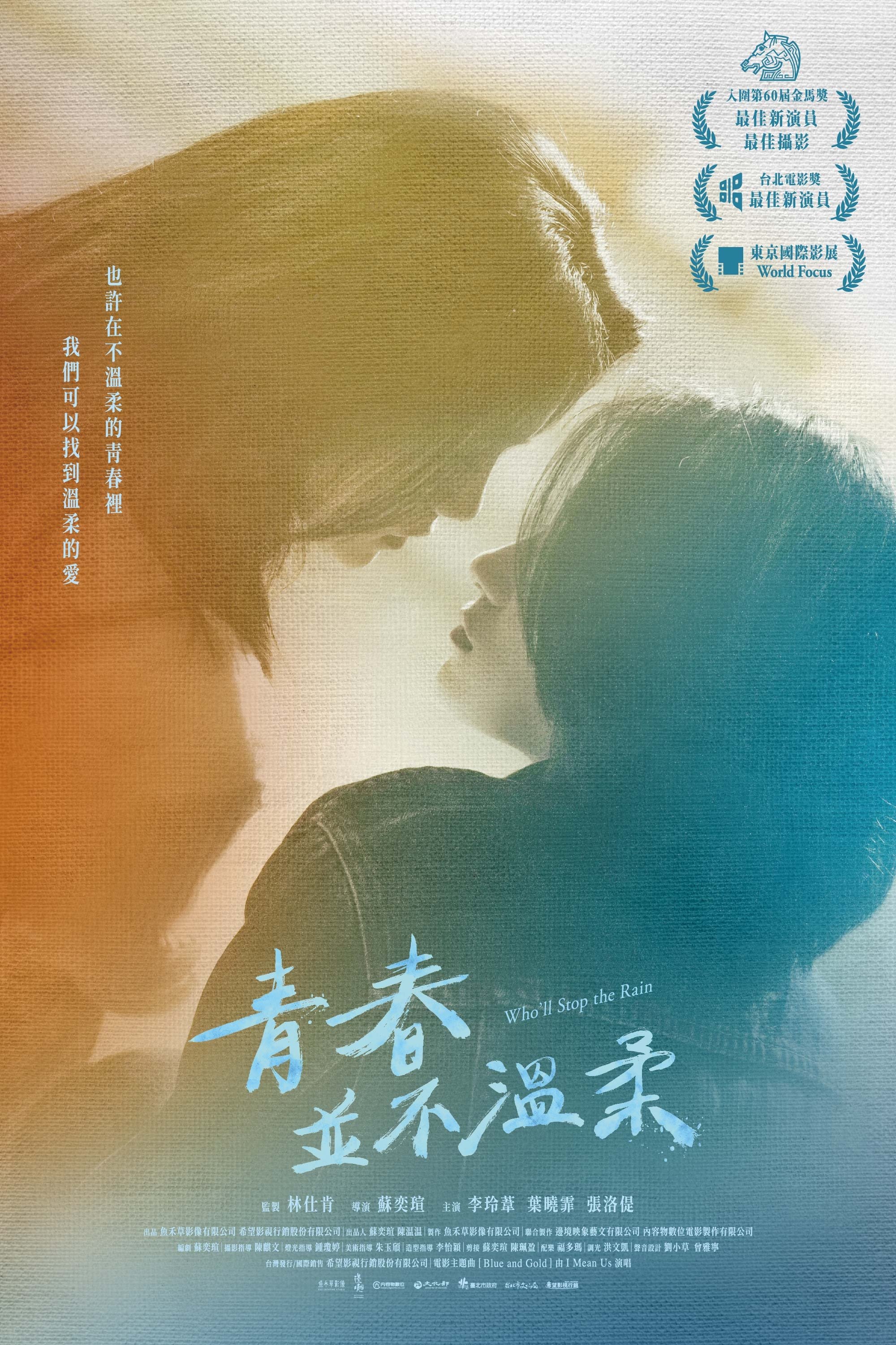 Poster de 青春並不溫柔