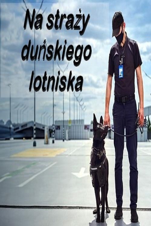 Poster de Na straży duńskiego lotniska