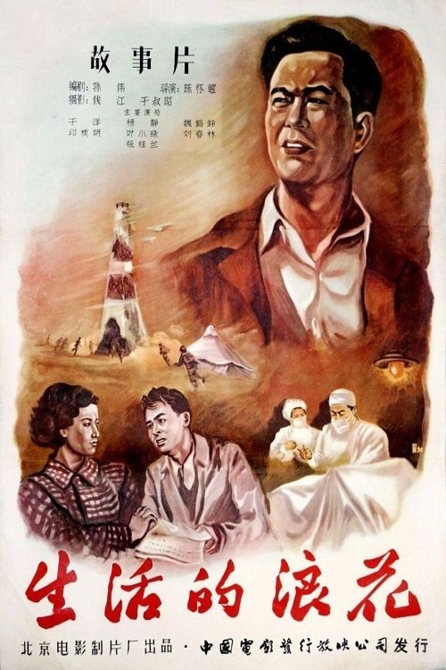 Poster de 生活的浪花
