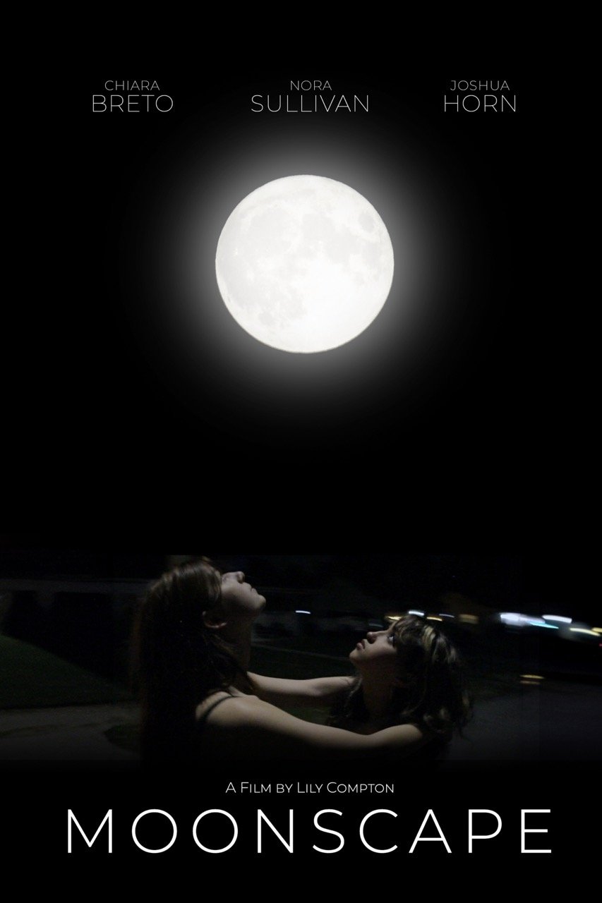 Poster de Moonscape