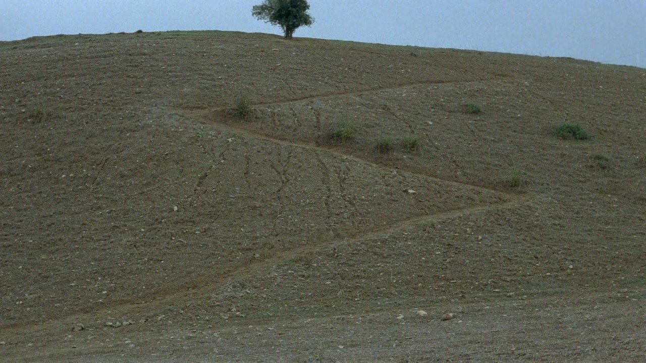 backdrops
