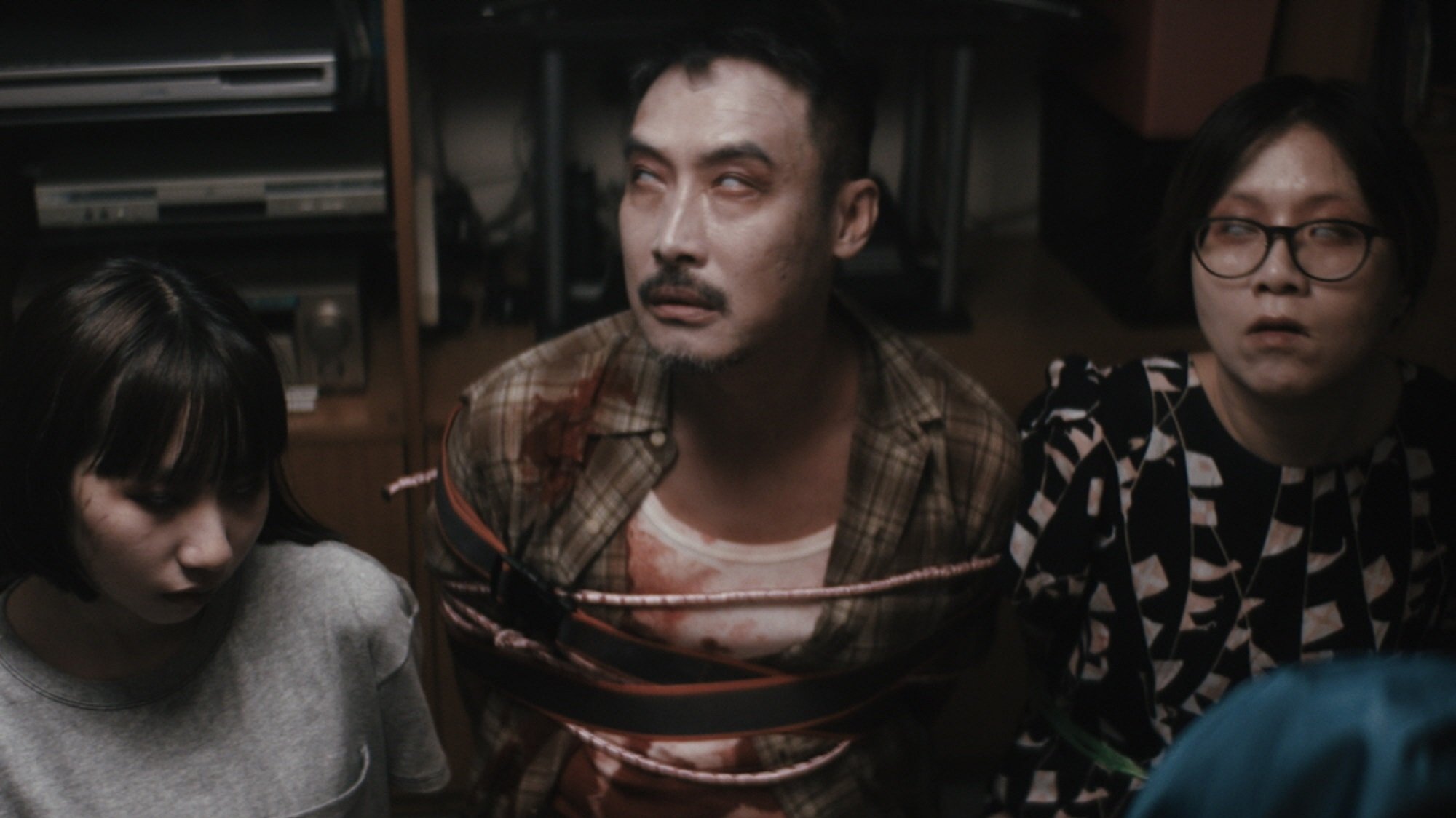 Zombies in the House