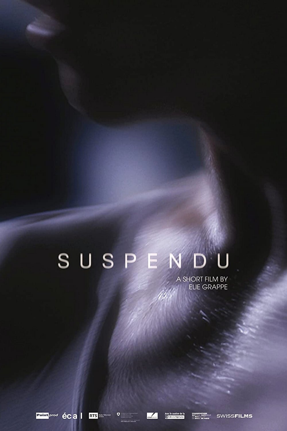 Poster de Suspendu