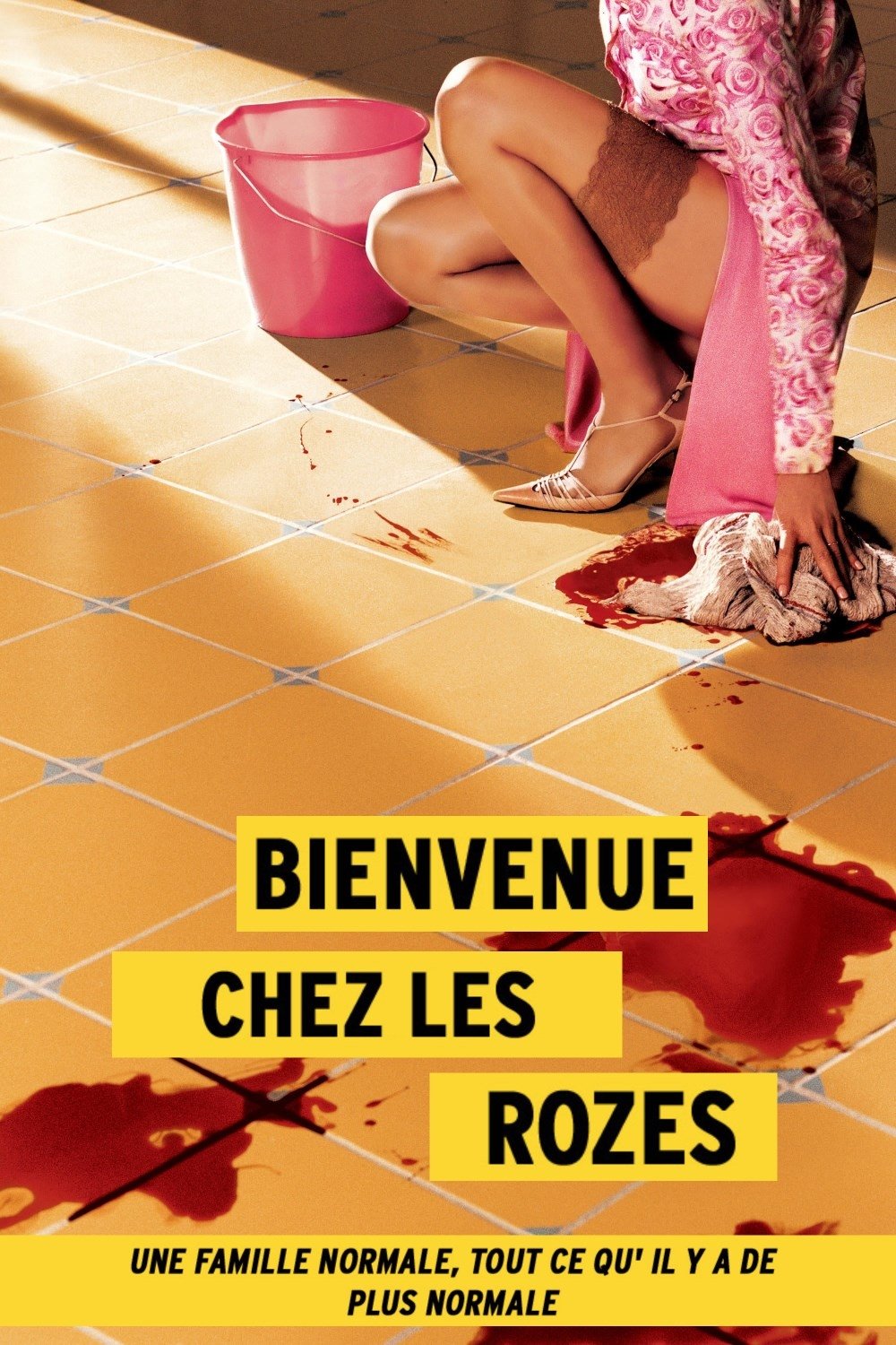 Affiche du film Bienvenue chez les Rozes