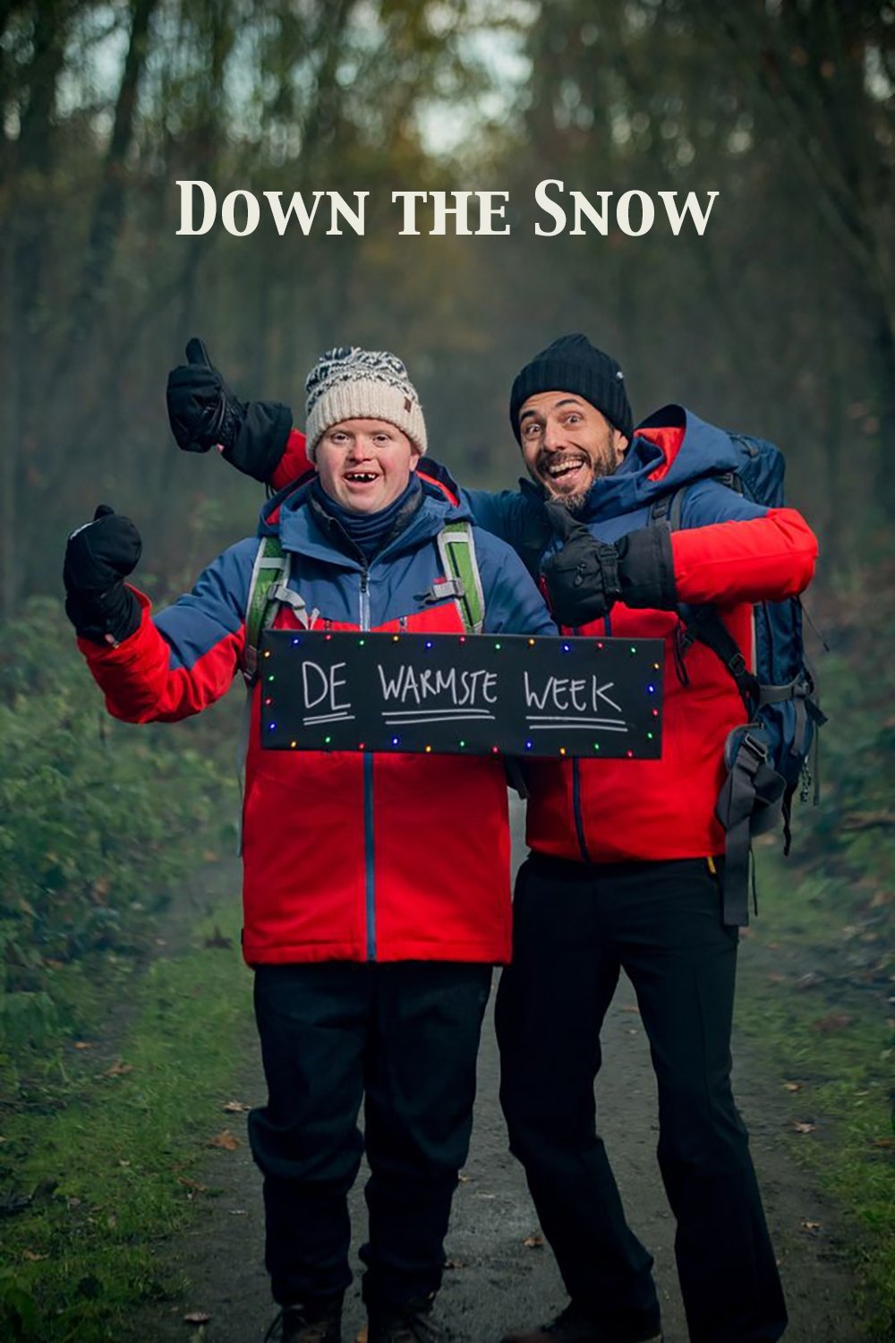 Poster de Down the Snow