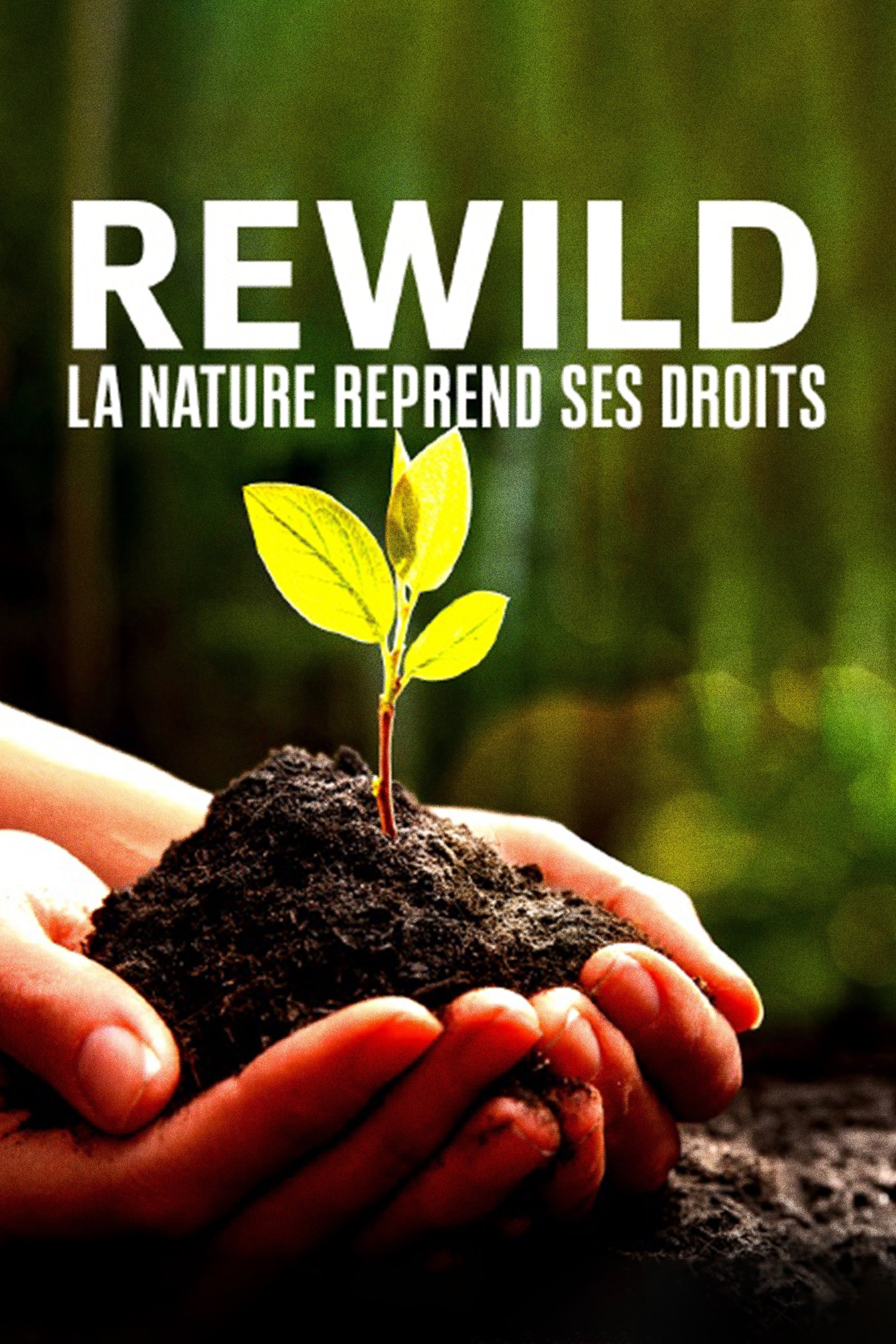 Poster de Rewild, la nature reprend ses droits