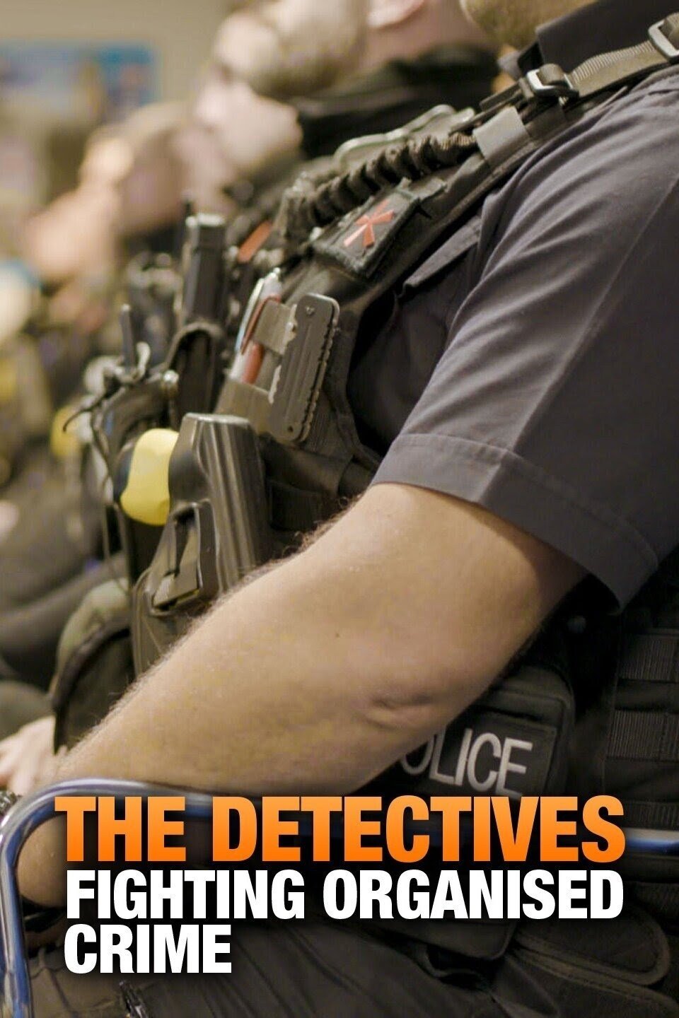Poster de The Detectives: Fighting Organised Crime
