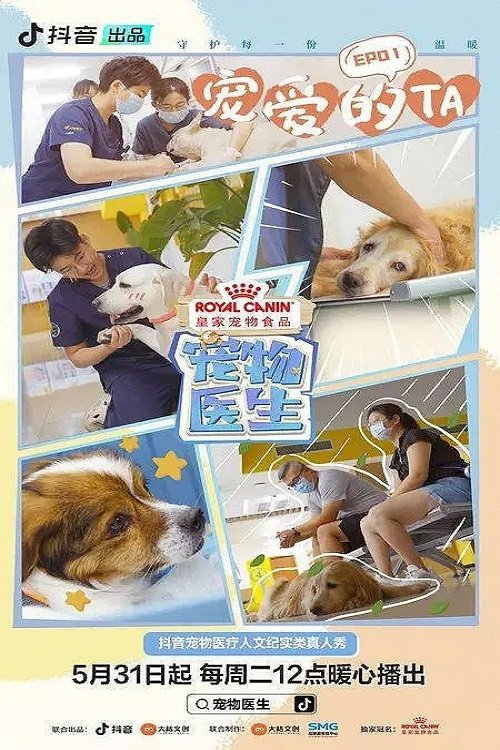 Poster de 宠物医生