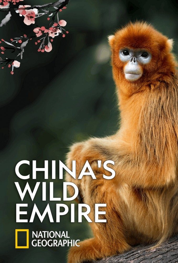 Poster de China: Um Império Selvagem
