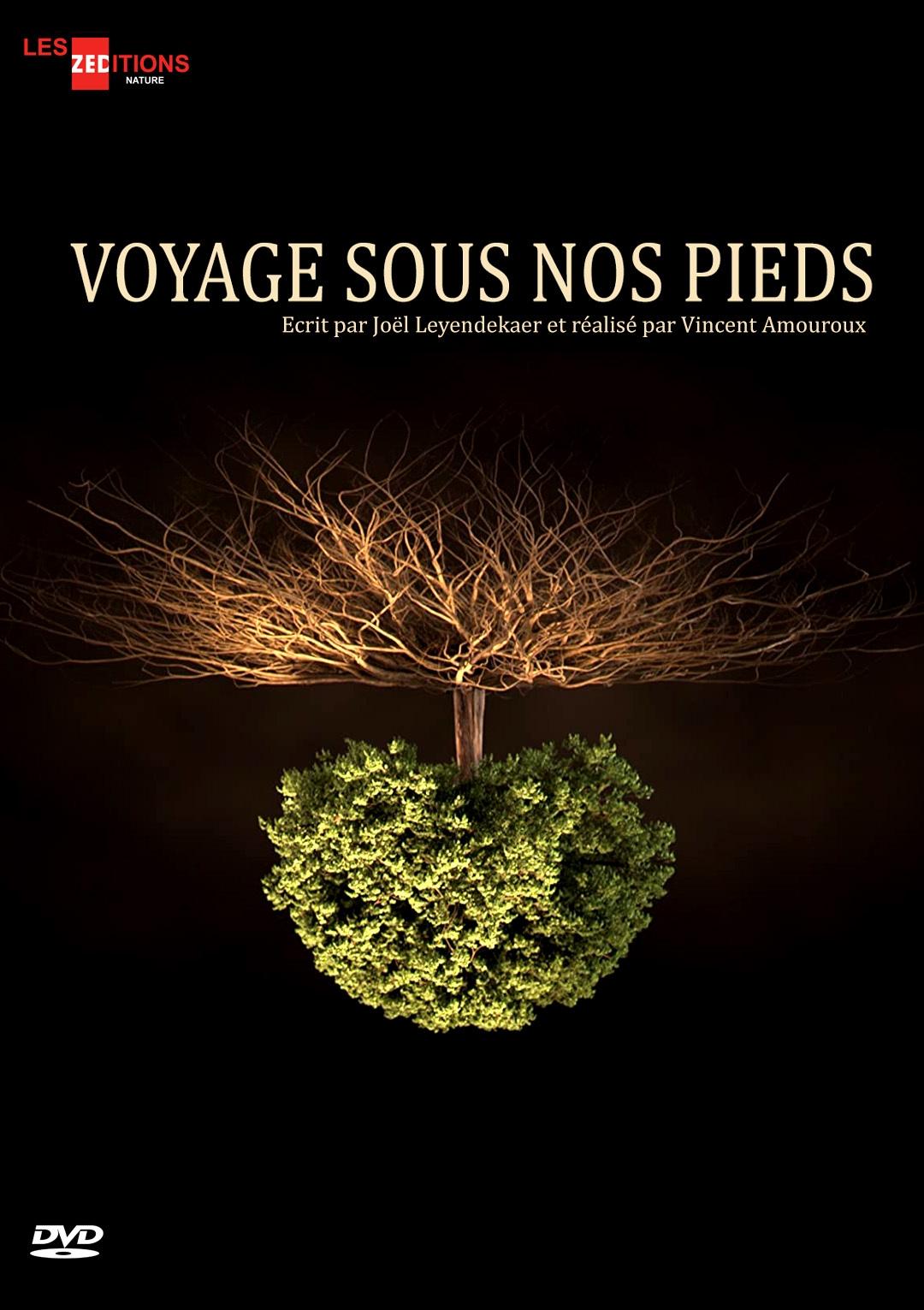 Poster de Voyage sous nos pieds