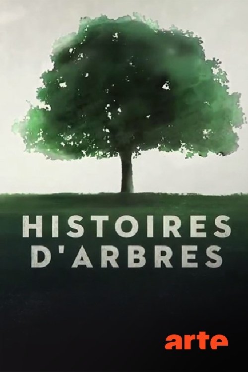 Poster de Histoires d'arbres