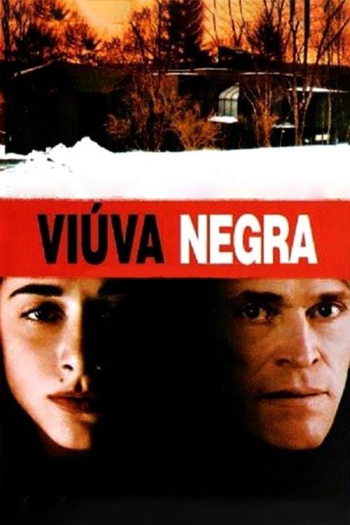 Poster de Viúva Negra