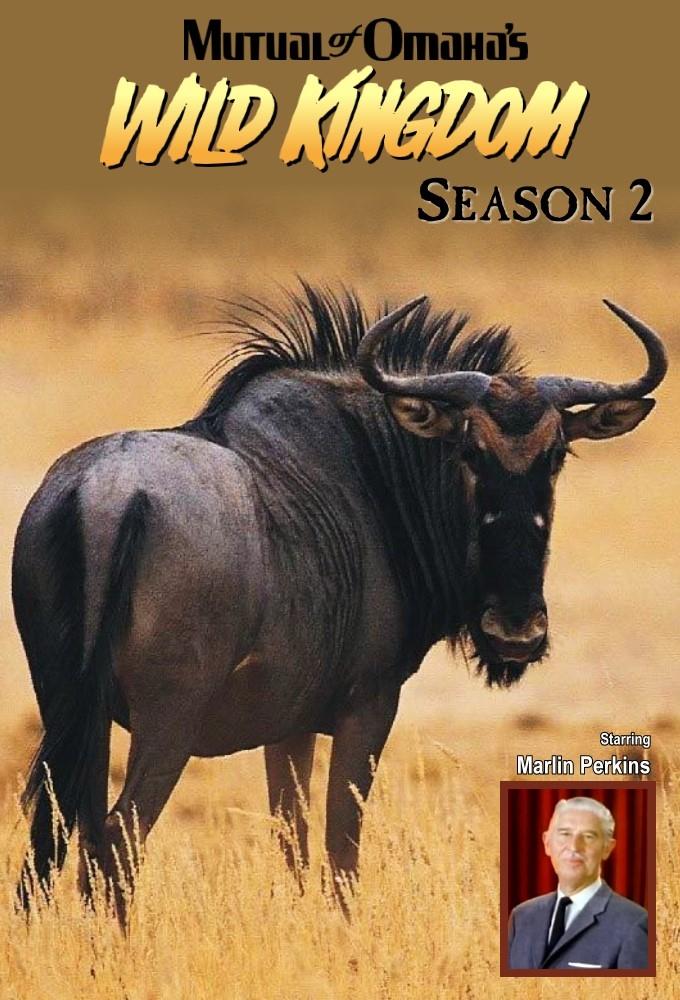 Poster de Temporada 2