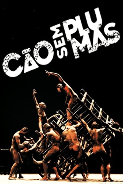 Poster de Cão sem Plumas