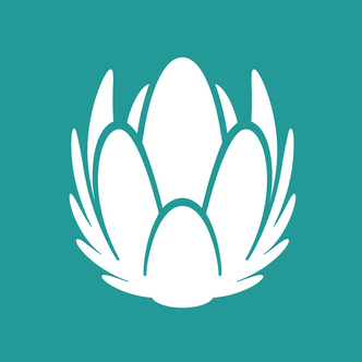 provider.provider_name logo