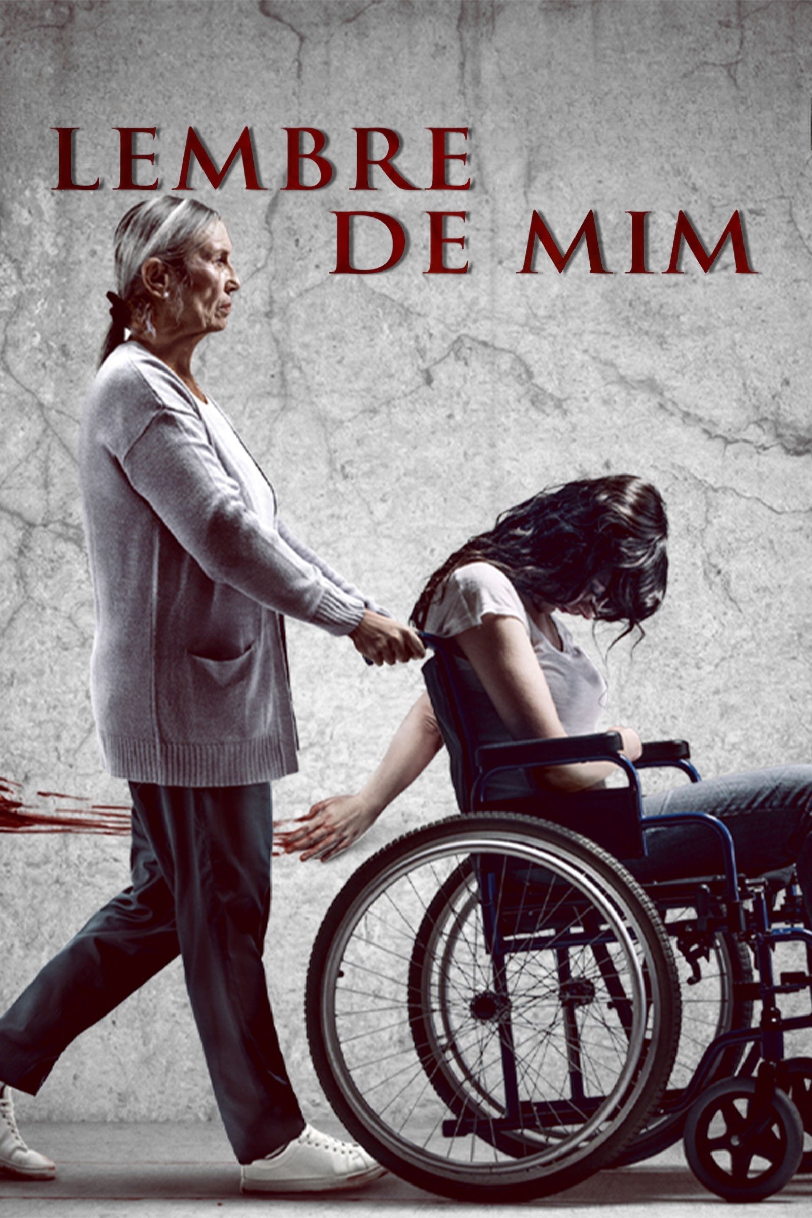 Poster de Lembre de Mim