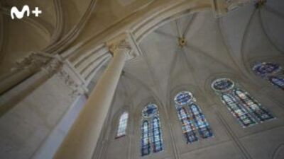 Notre Dame - Build To Survive