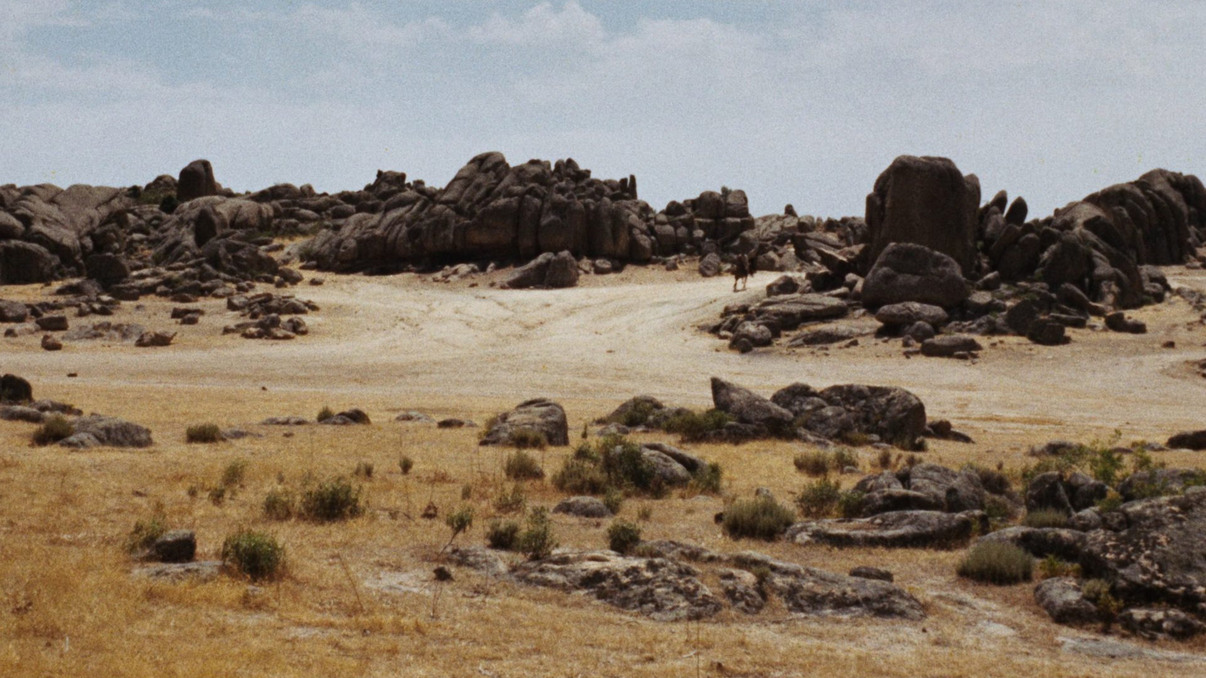 backdrops