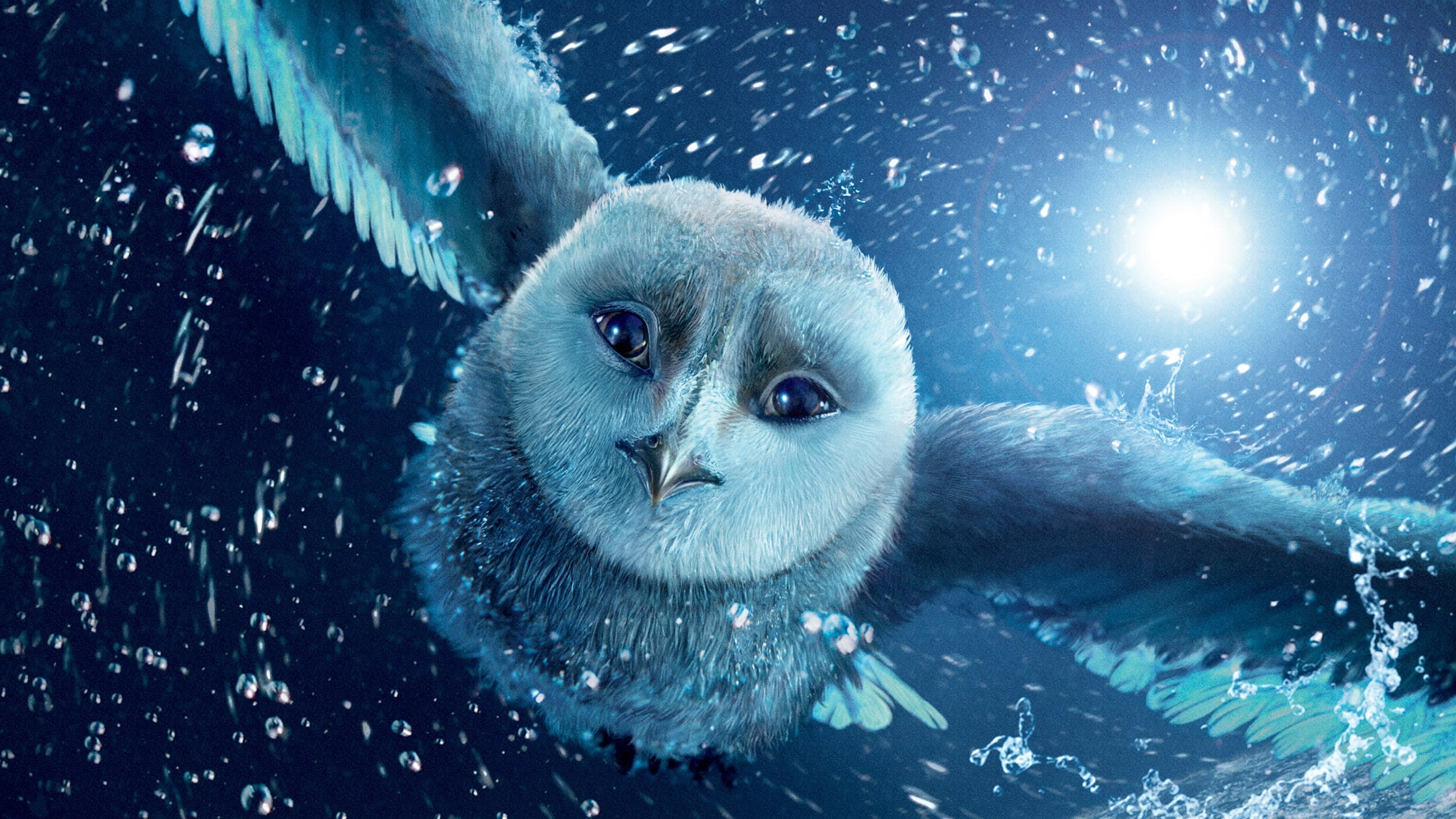 Legend of the Guardians: The Owls of Ga’Hoole 2010 123movies