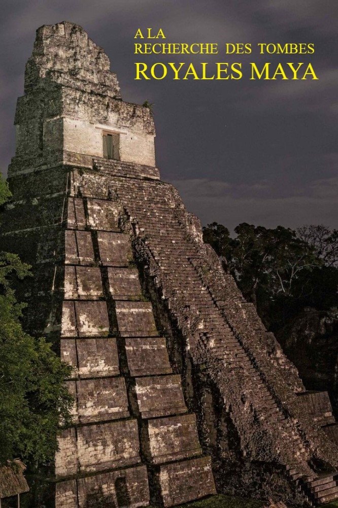 Poster de A la recherche des tombes royales mayas