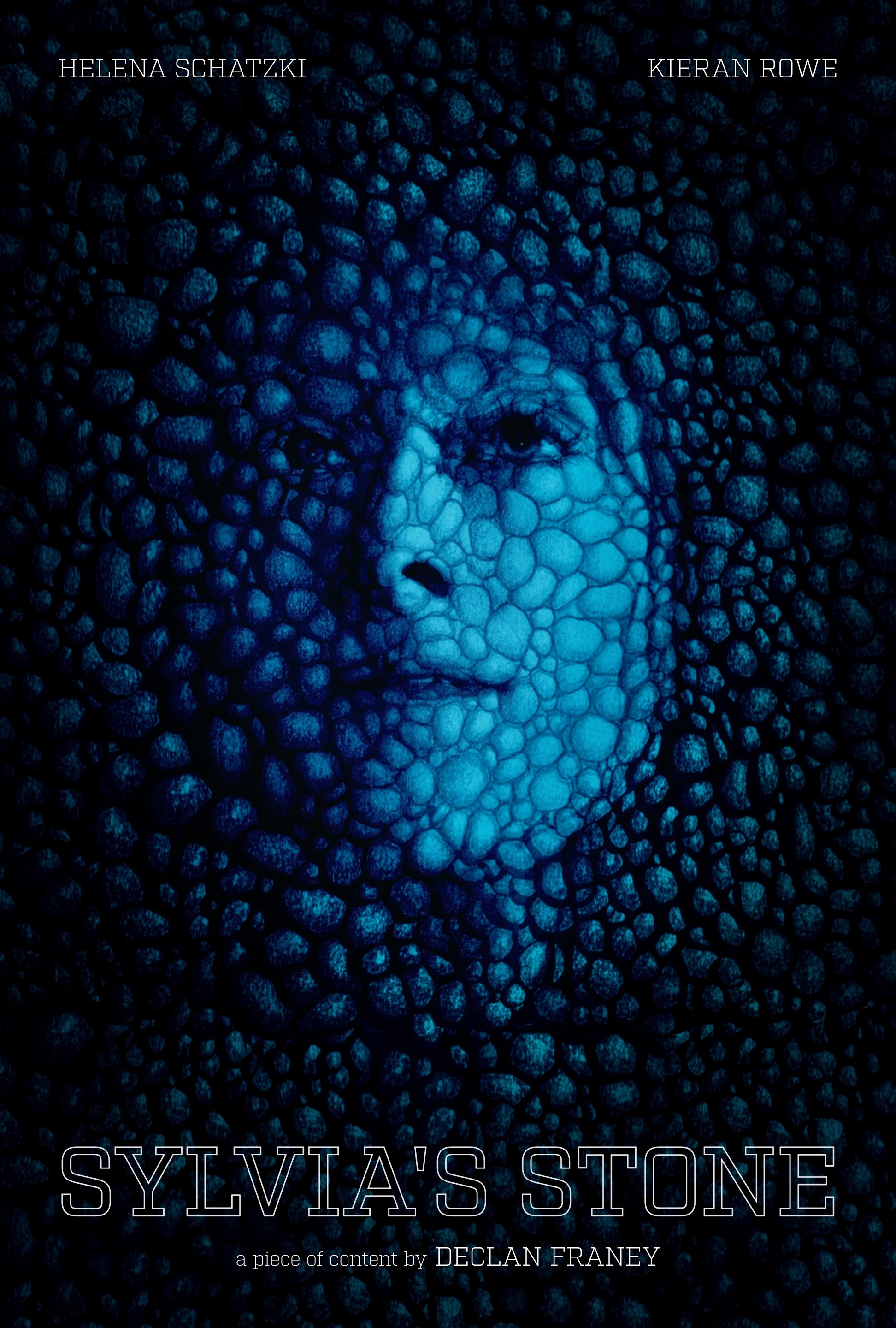 Poster de Sylvia's Stone