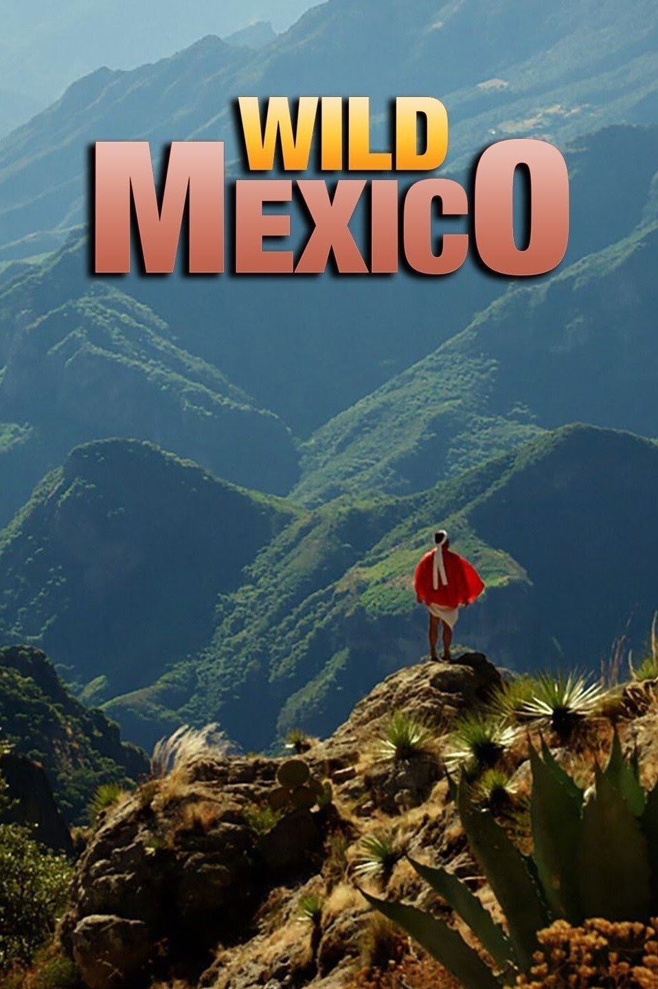 Poster de Wild Mexico