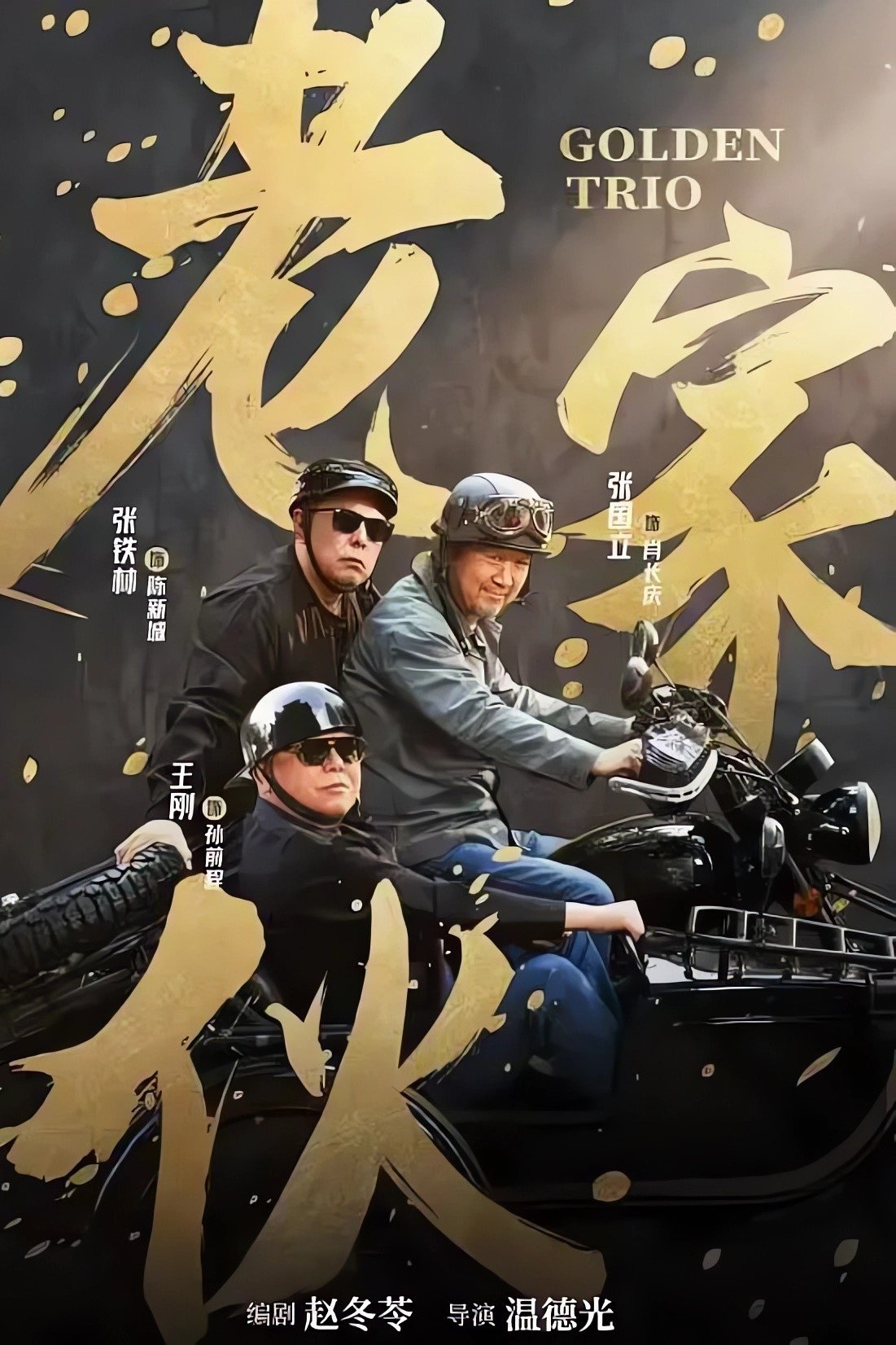 Poster de 老家伙