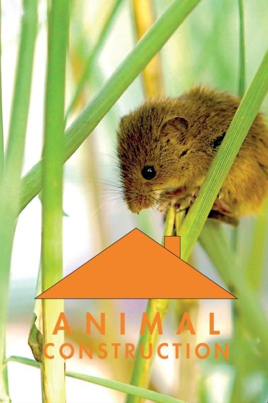 Poster de Constructions animales