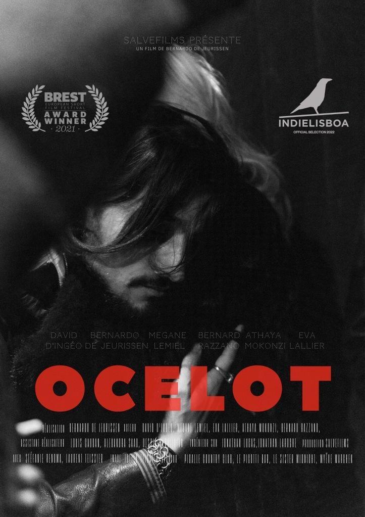Poster de Ocelot