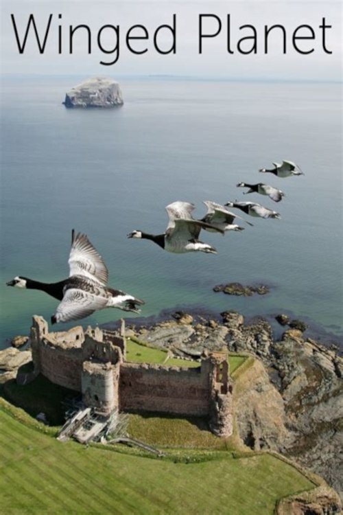 Poster de Winged Planet