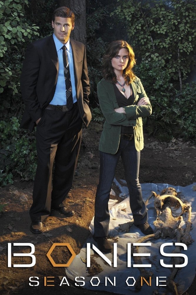 Poster de Temporada 1