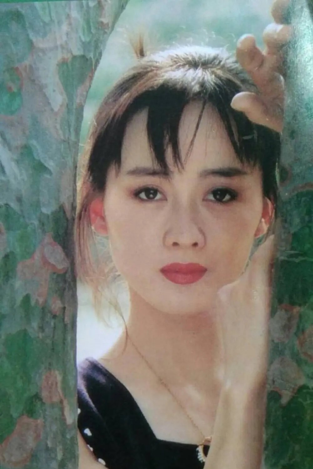 Foto de Li Lin