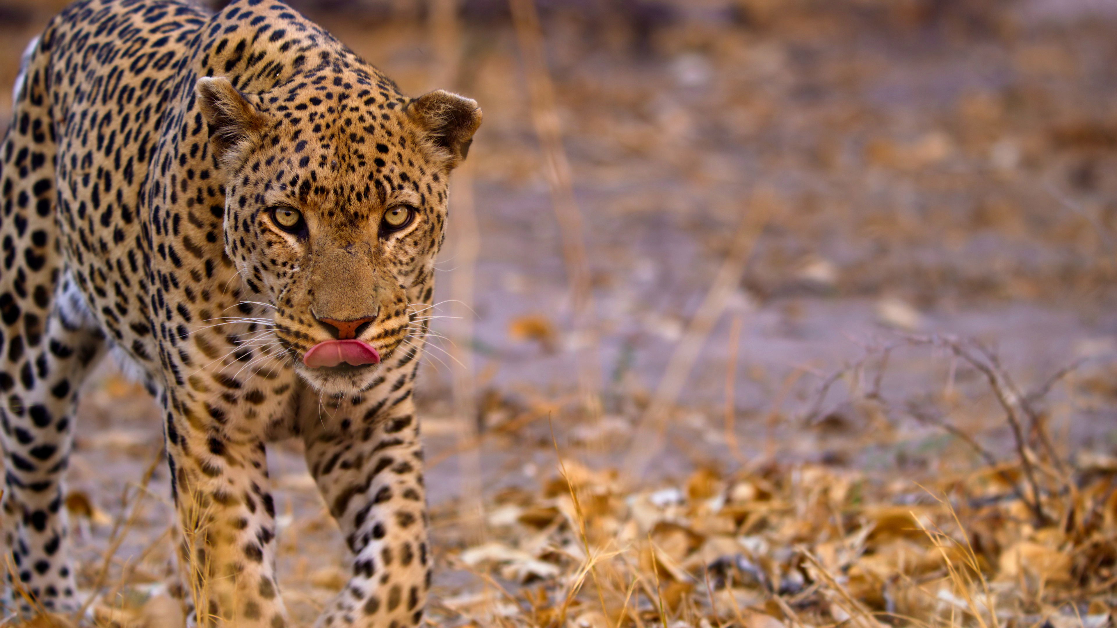 African Water Worlds