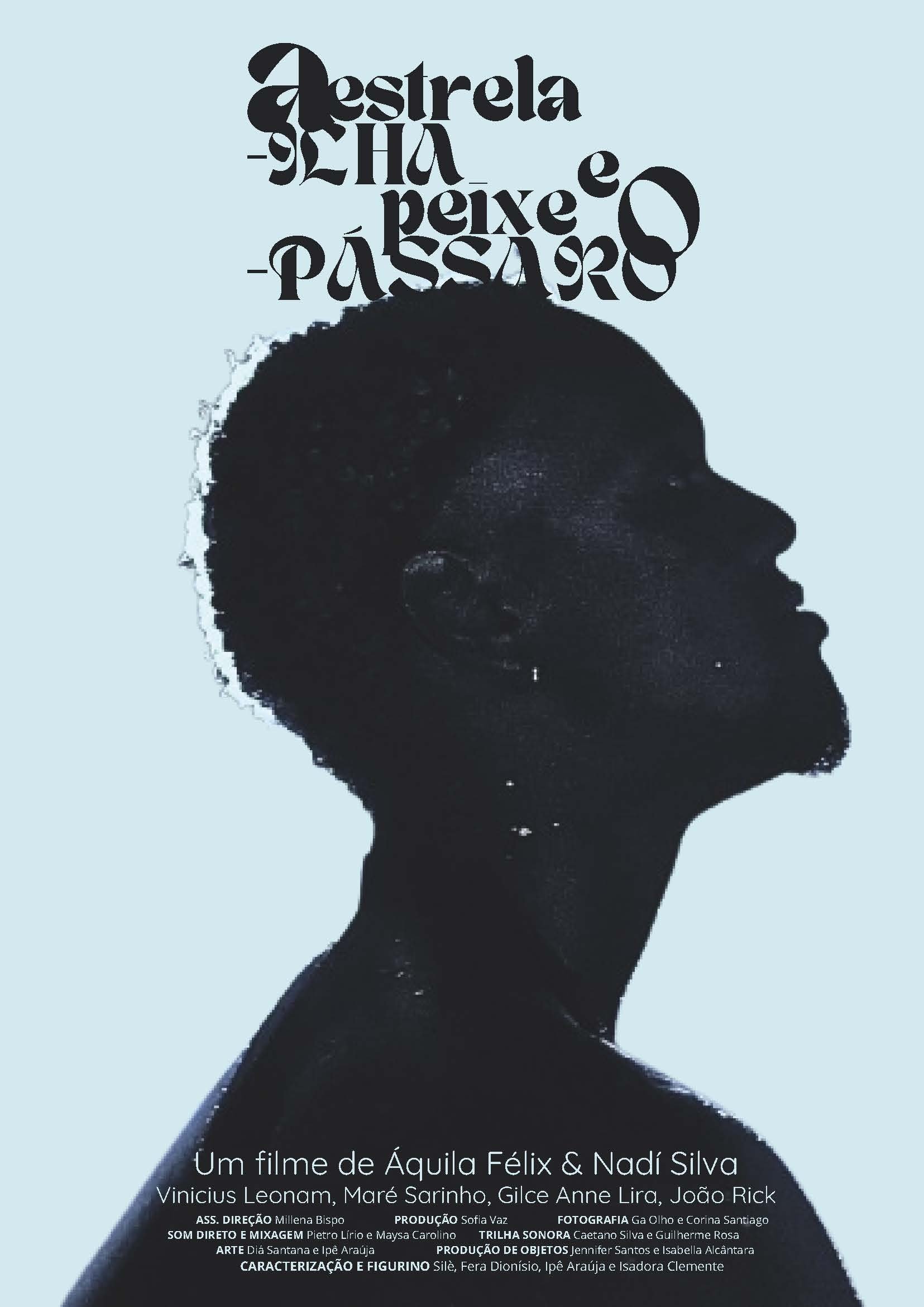 Poster de A Estrela-ilha e o Peixe-pássaro