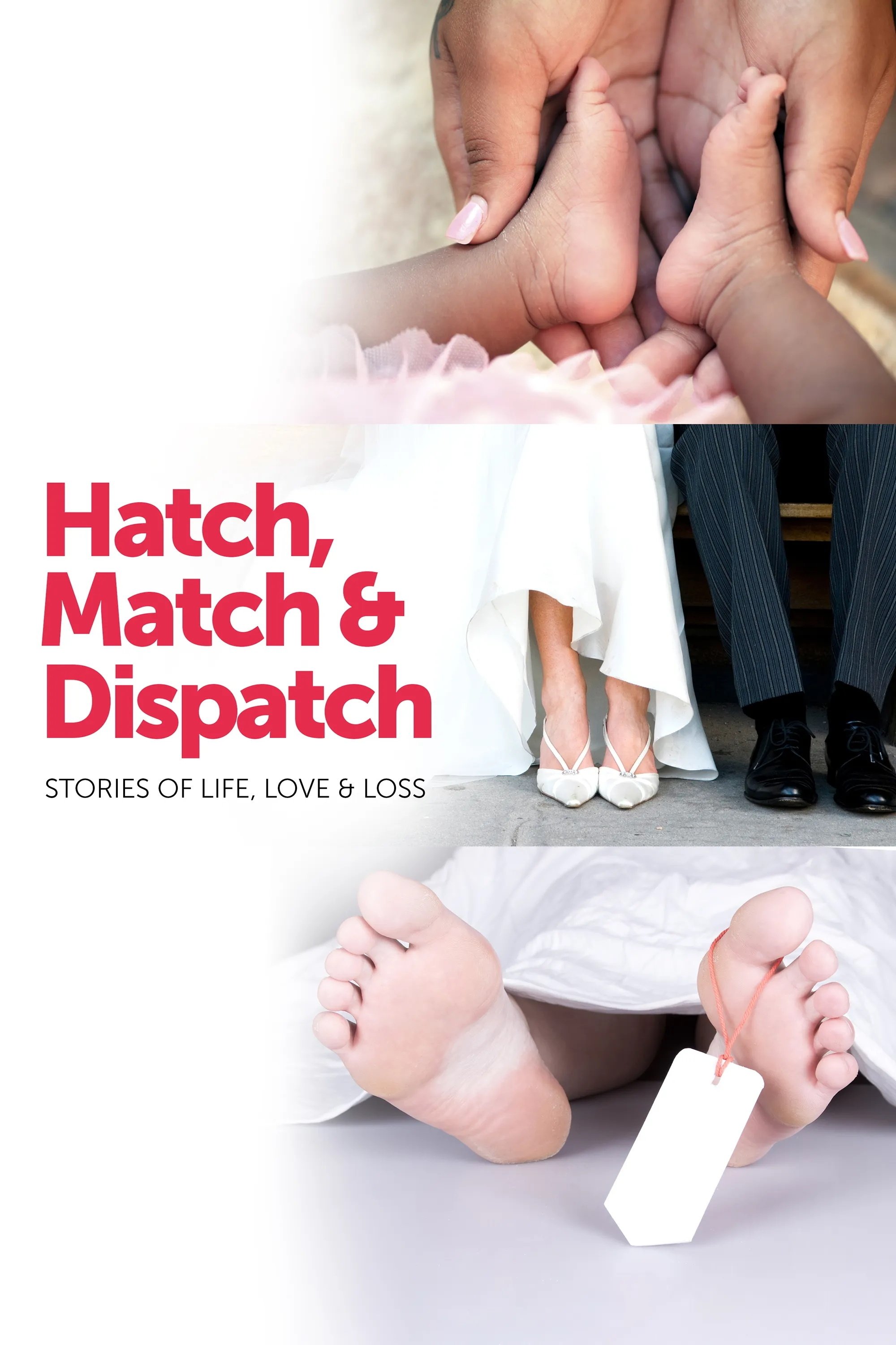 Poster de Hatch, Match & Dispatch