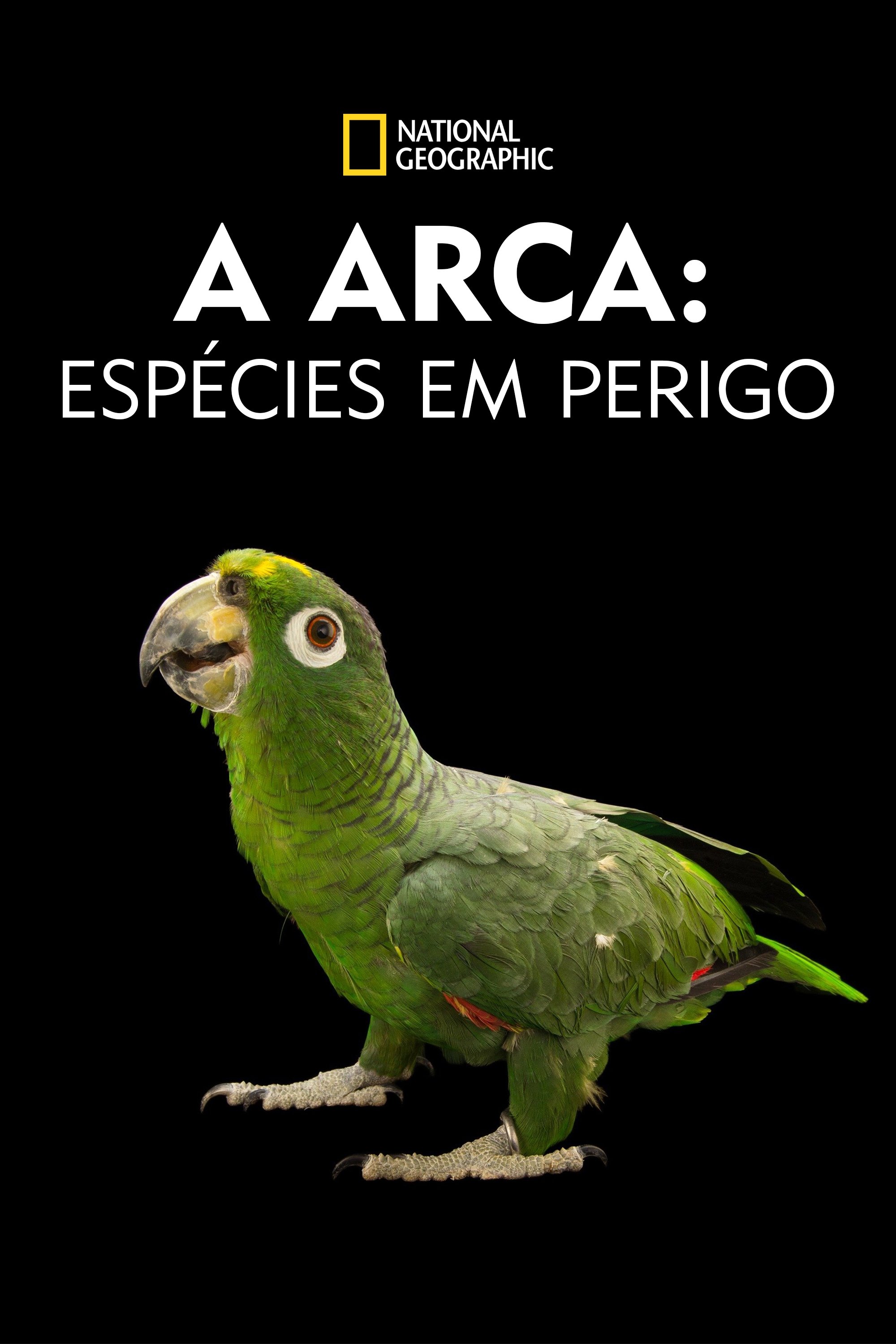 Poster de A Arca: Espécies em Perigo