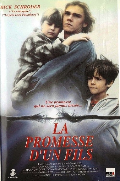 Affiche du film A Son's Promise
