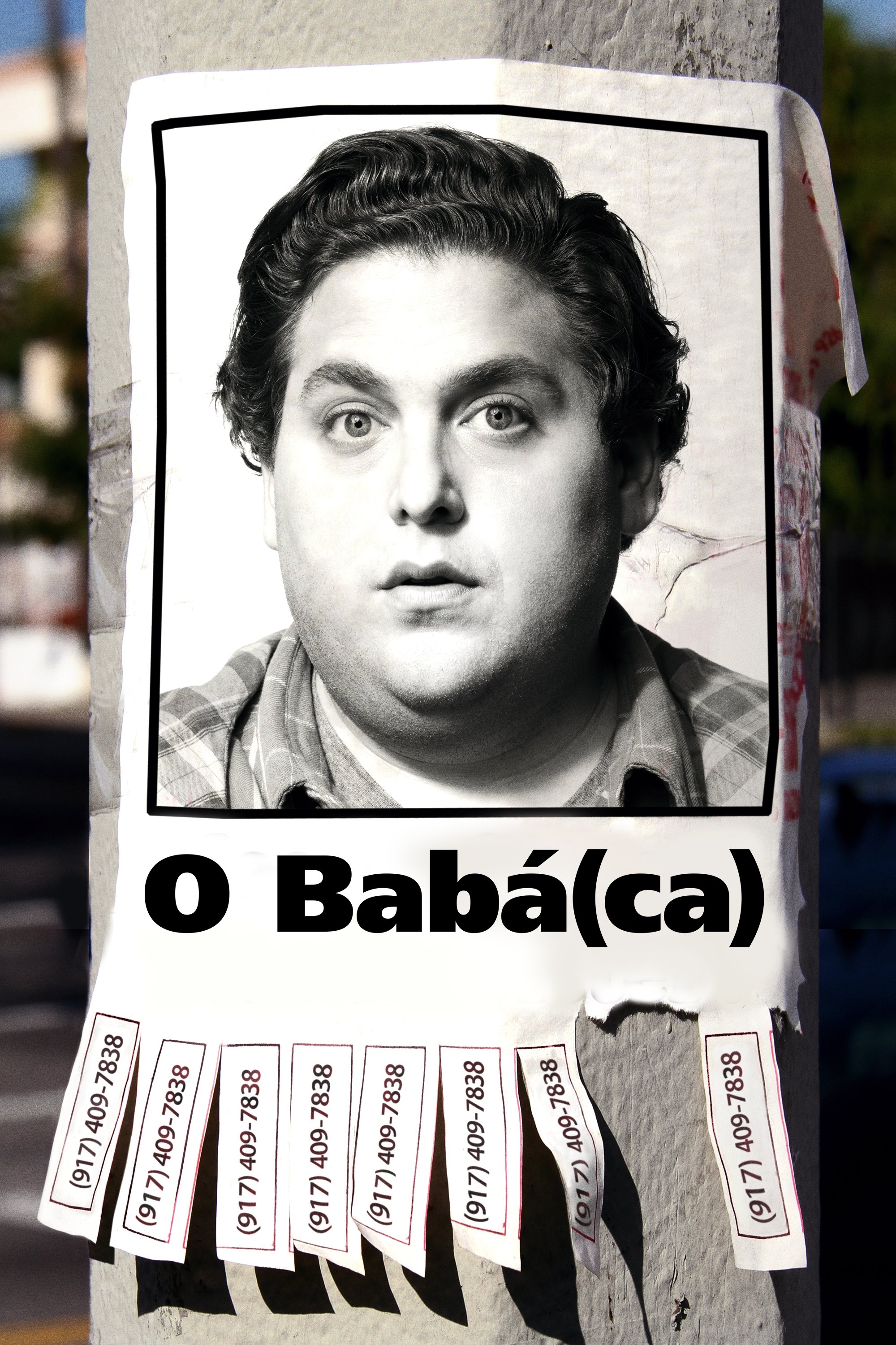 Poster de O Babá(ca)