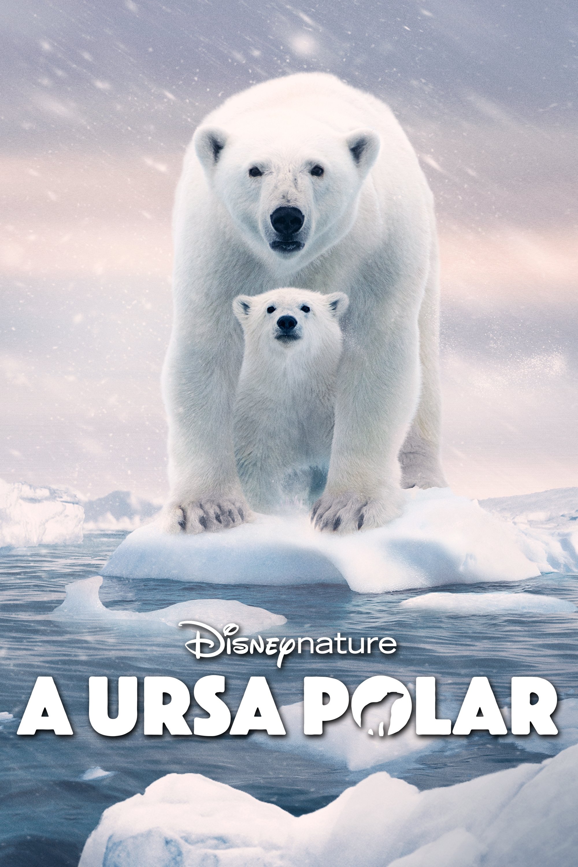 Poster de A Ursa Polar