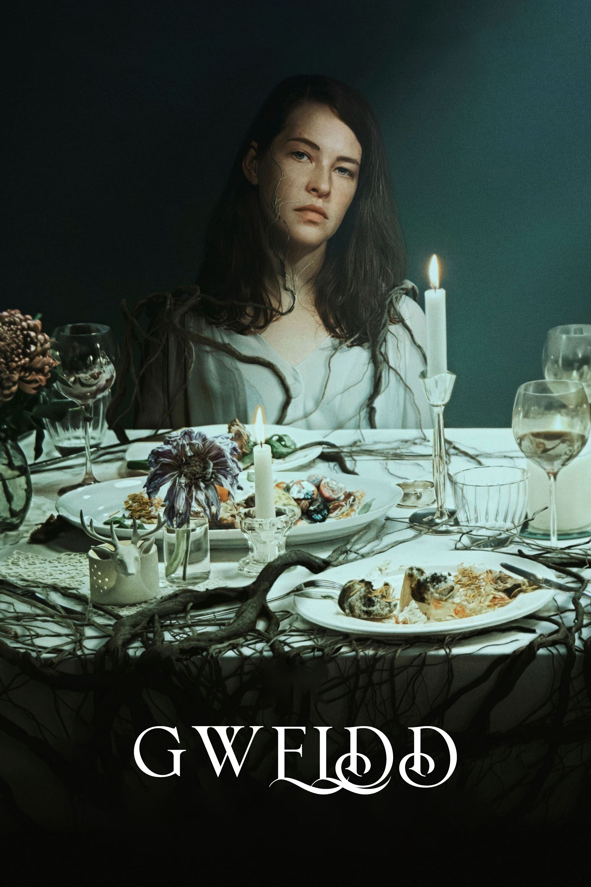 Poster de The Feast